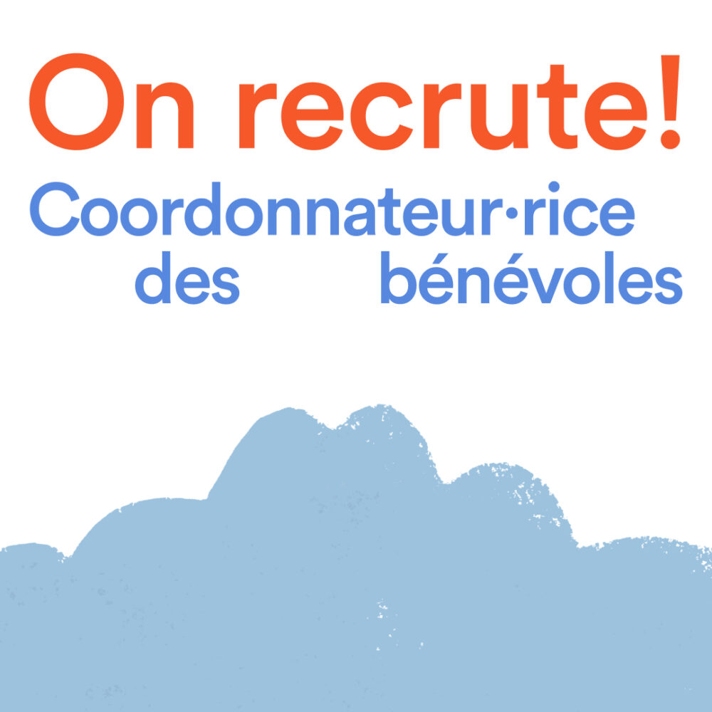 Actu web emploi benevoles 3 1