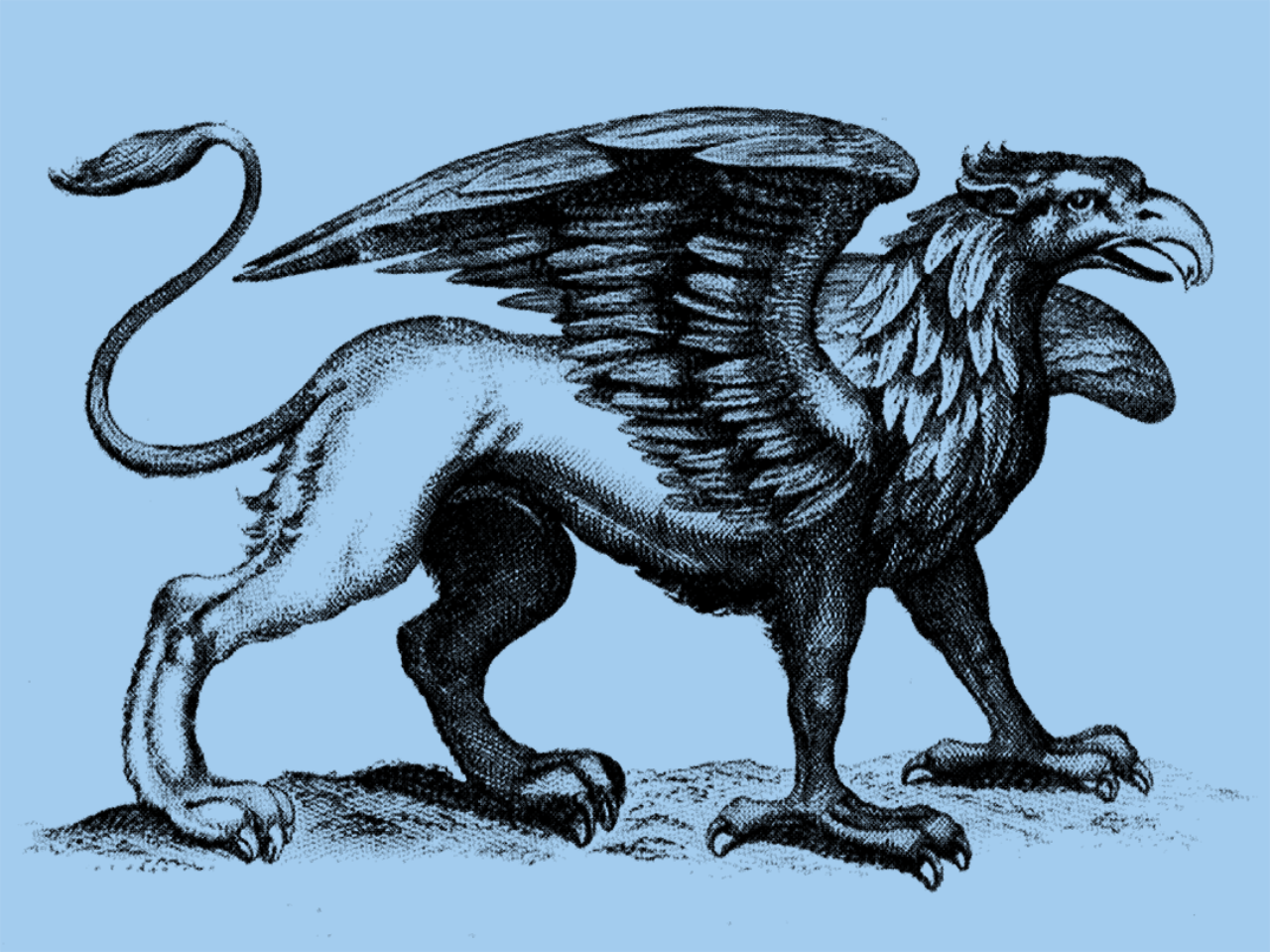 Griffon